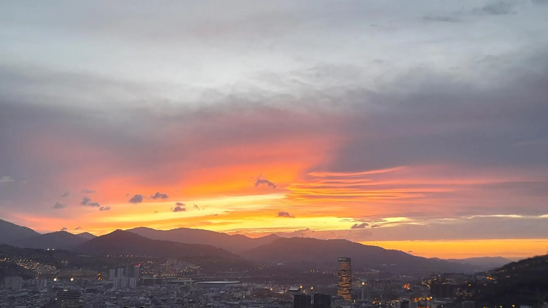 Calida Estancia Descubre La Ciudad Bilbao